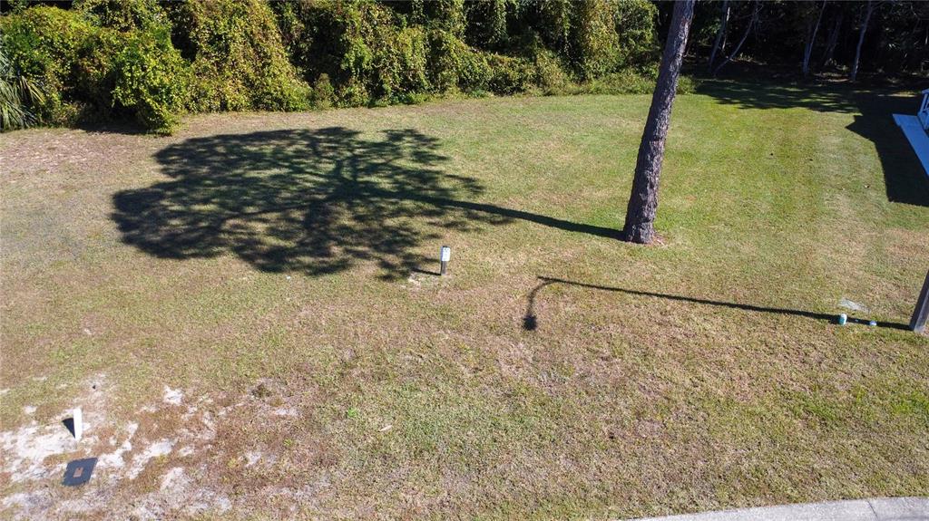 FOREST GLENN DRIVE, SPRING HILL, FL — photo 3 of 30