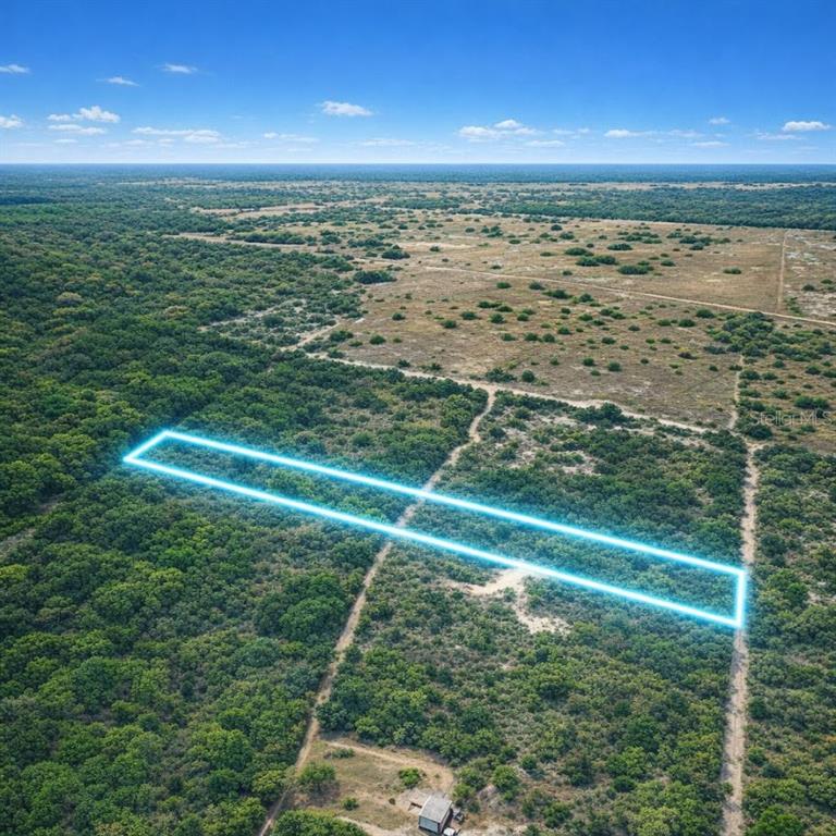 An aerial view shows a rectangular plot of land outlined in blue amidst wooded terrain — NE 56TH STREET, BRONSON, FL
