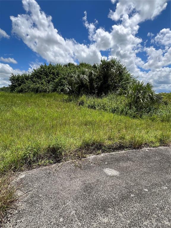 A view of a grassy, undeveloped lot bordered by trees and a paved road — 405 ASHCROFT COURT, LABELLE, FL