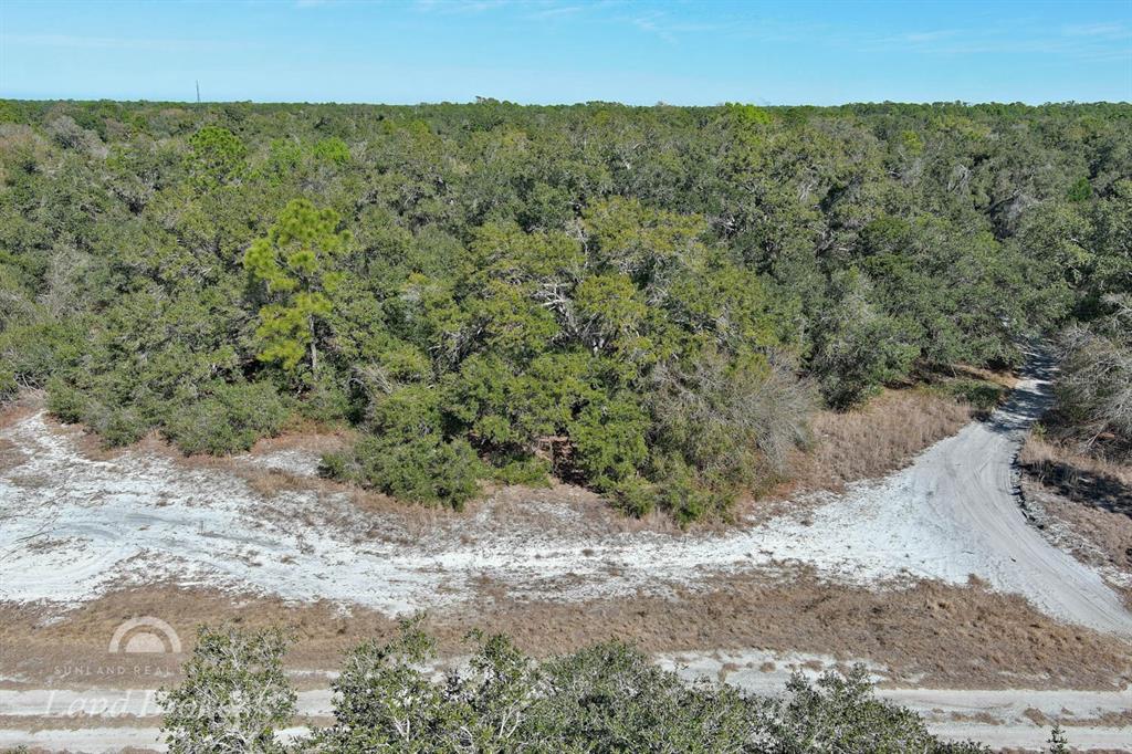 An aerial view shows a sandy dirt road winding through a wooded, undeveloped lot — AMES AVENUE, NORTH PORT, FL