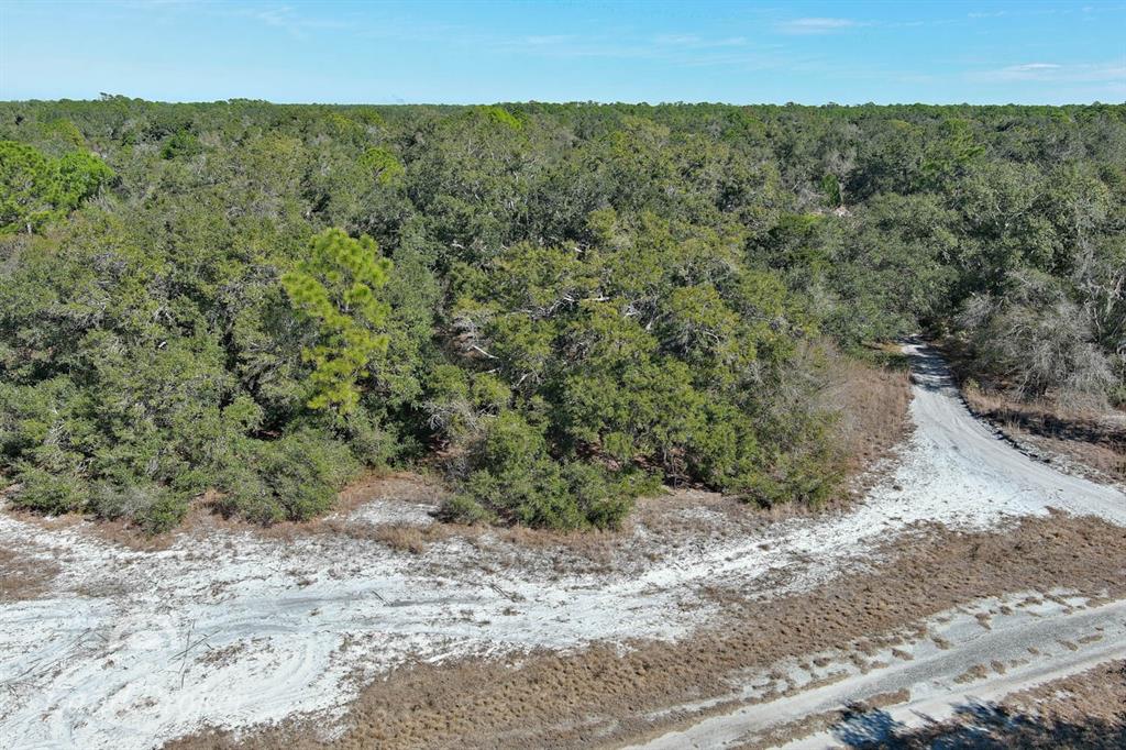 An aerial view shows a dirt road bordering a dense, wooded lot with sandy soil — AMES AVENUE, NORTH PORT, FL
