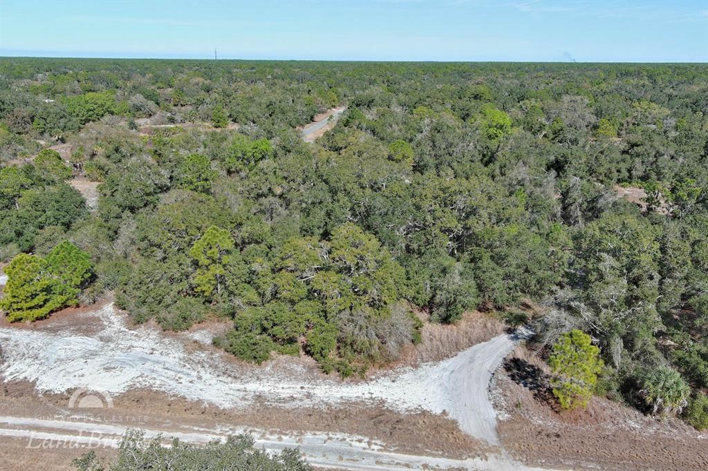 An aerial view shows a dirt road leading into a dense, wooded forest area — AMES AVENUE, NORTH PORT, FL