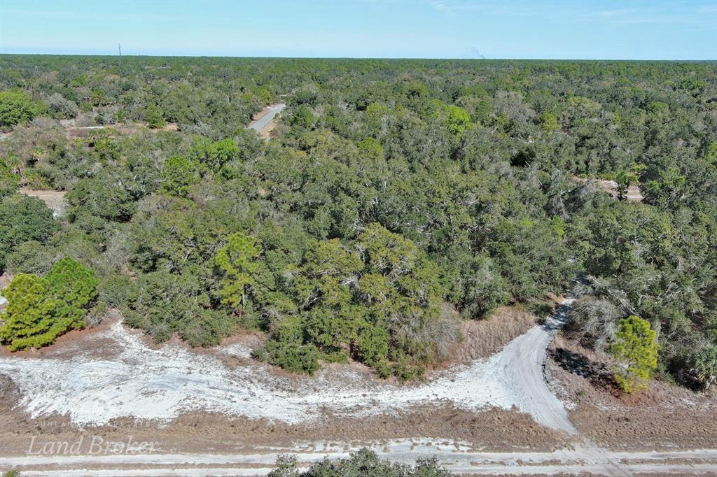 An aerial view shows a dirt road leading into a densely wooded, undeveloped lot — AMES AVENUE, NORTH PORT, FL