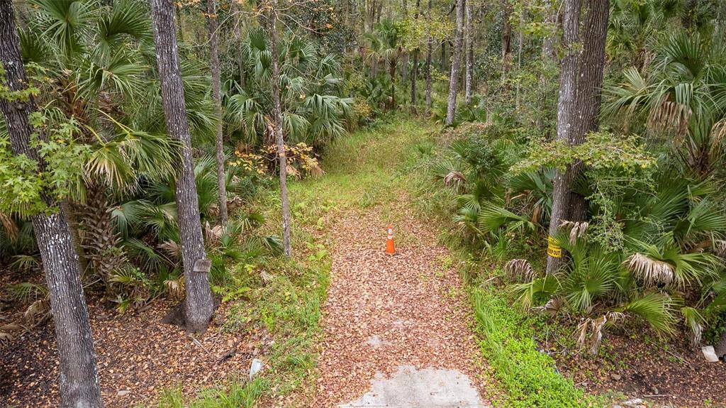 1100 MAYTOWN ROAD, OAK HILL, FL — photo 4 of 10