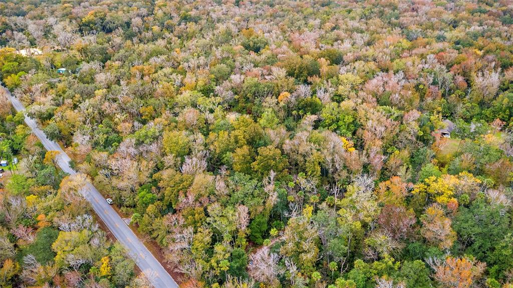 1100 MAYTOWN ROAD, OAK HILL, FL — photo 5 of 10