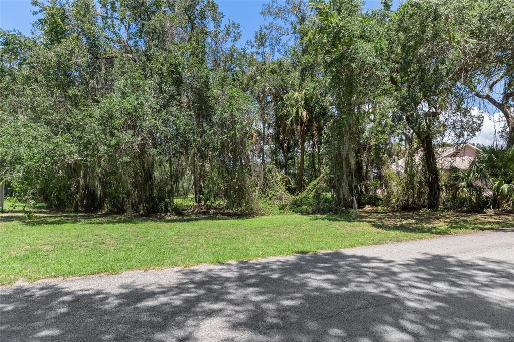 A grassy, wooded vacant lot sits adjacent to a paved road under a clear sky — 4788 S WOOD WAY, HOMOSASSA, FL