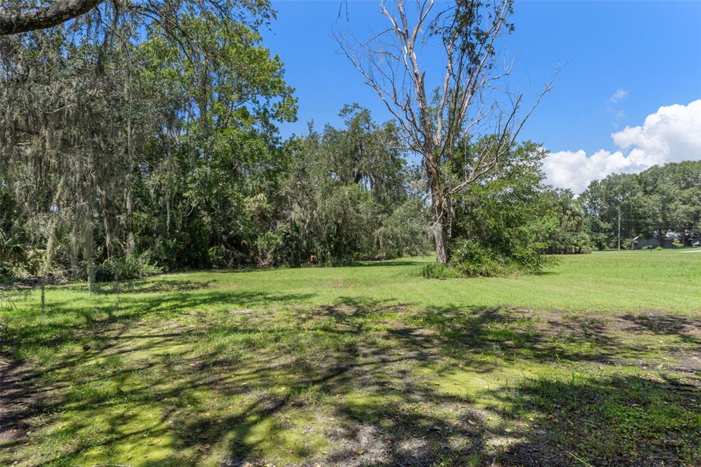 A grassy, sunlit lot features scattered trees and dense vegetation under a clear blue sky — 4788 S WOOD WAY, HOMOSASSA, FL