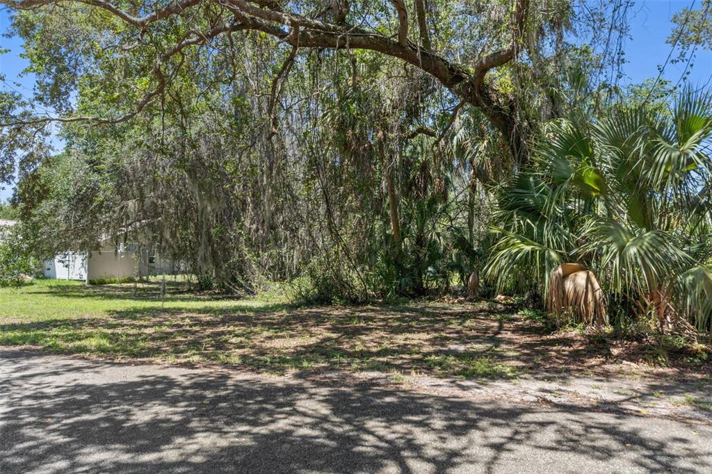 A vacant, wooded lot with mature trees and palms sits beside a residential building — 4788 S WOOD WAY, HOMOSASSA, FL