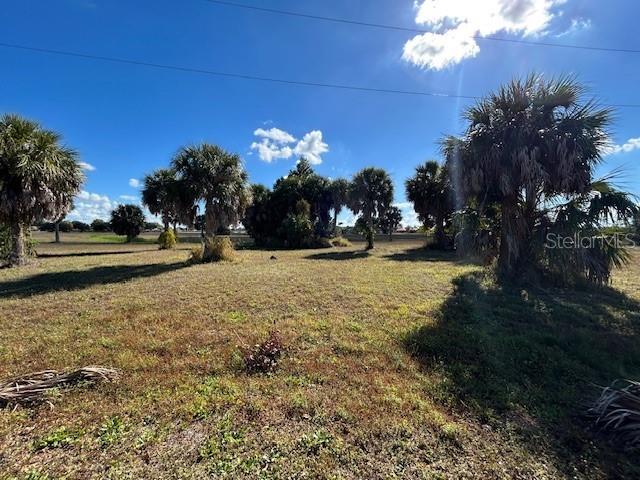 A grassy, open lot features several palm trees under a bright blue sky — 16260 JUAREZ COURT, PUNTA GORDA, FL