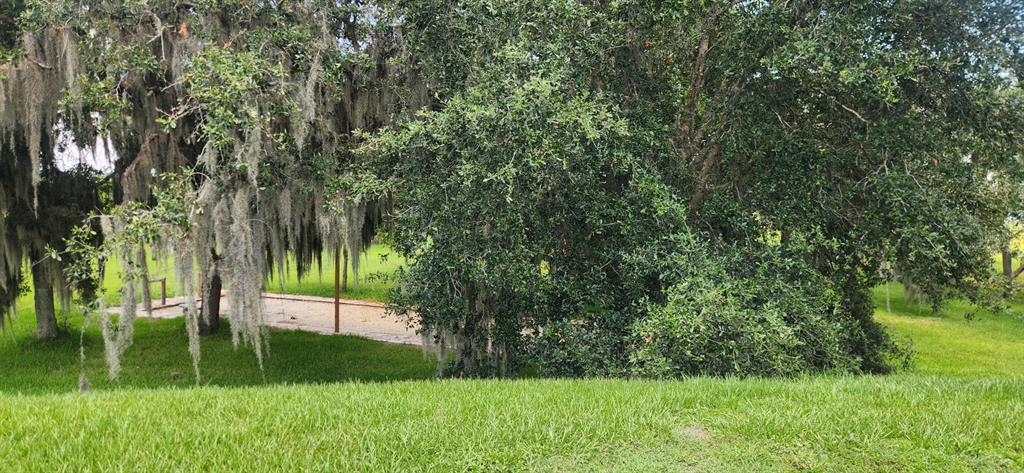 A grassy lawn leads to a shaded area with trees draped in Spanish moss — 3316 FISH HAWK DR, POLK CITY, FL