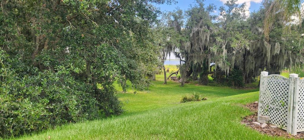 A grassy backyard slopes down toward large oak trees with Spanish moss and a lake — 3316 FISH HAWK DR, POLK CITY, FL