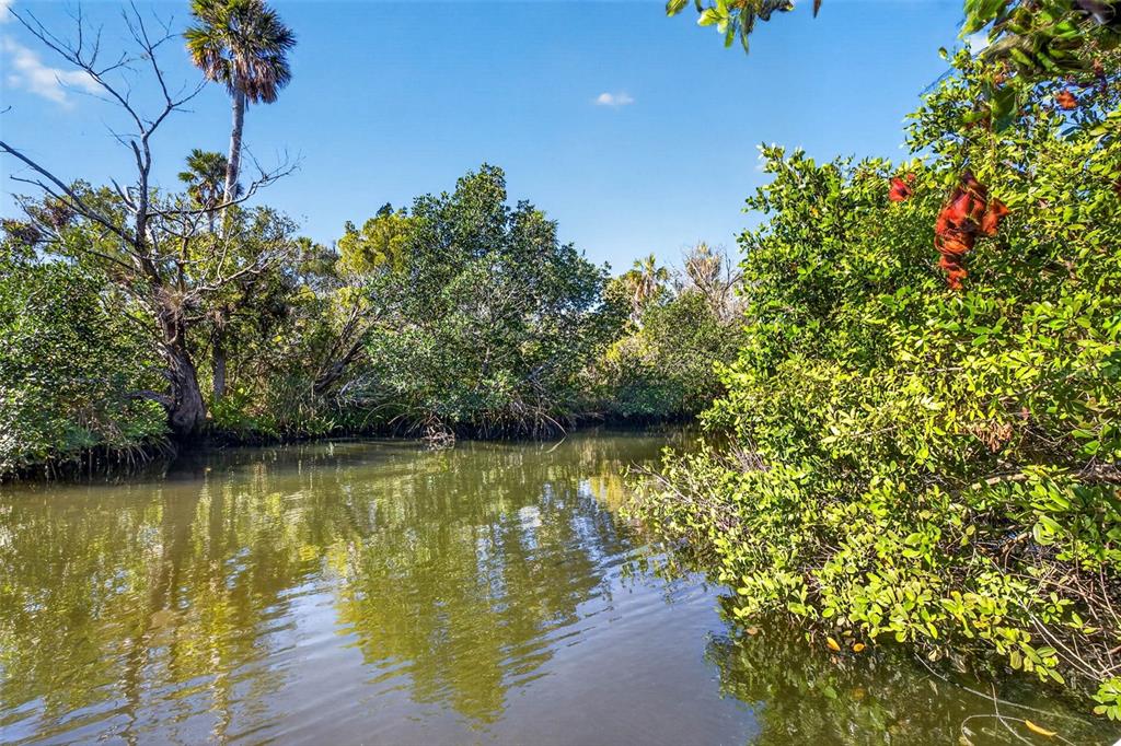 A narrow waterway flows through a lush mangrove forest under a clear blue sky — 5804 SEABREEZE DRIVE, PORT RICHEY, FL