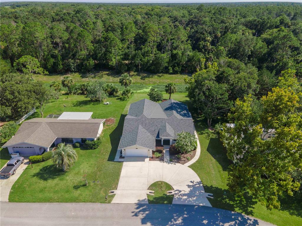 An aerial view shows two houses with driveways and lawns bordering a dense forest — 10 BLYTH PLACE, PALM COAST, FL