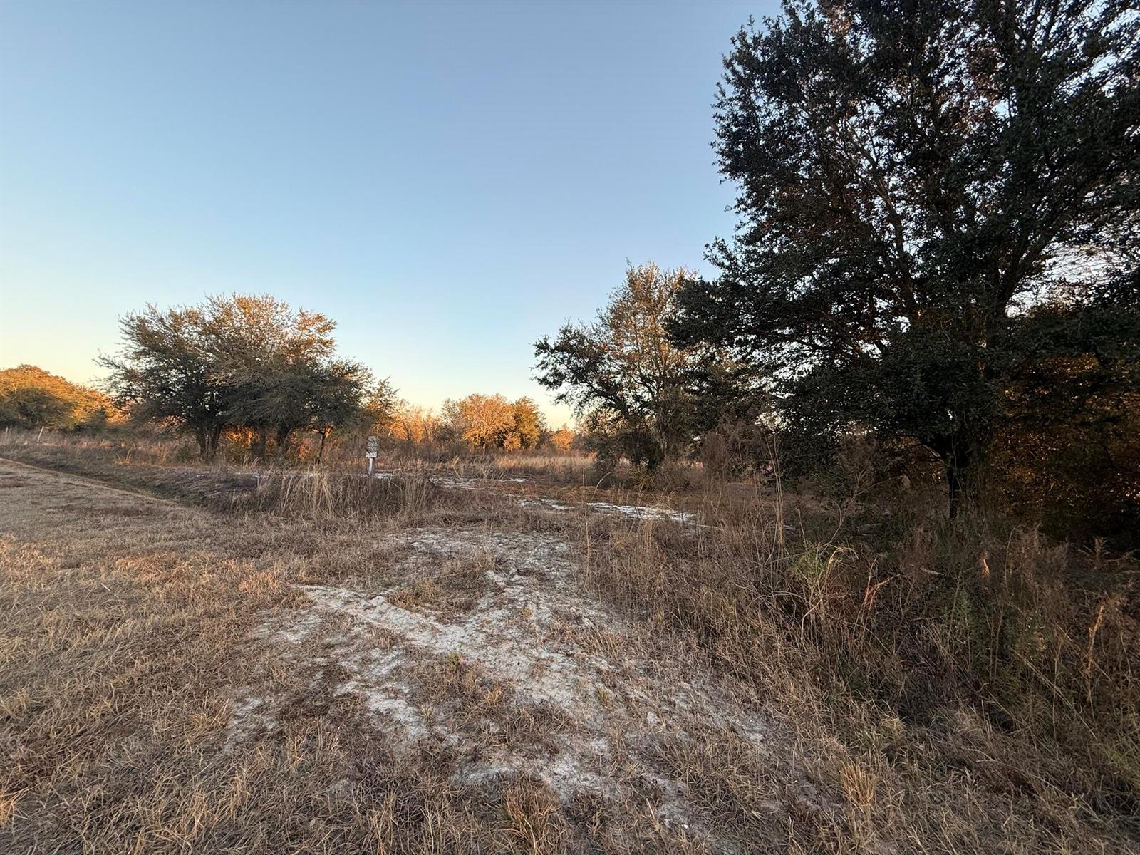 A grassy, open field with scattered trees under a clear blue sky — 18344 NW 284th Street, Okeechobee FL 34972, OKEECHOBEE, FL
