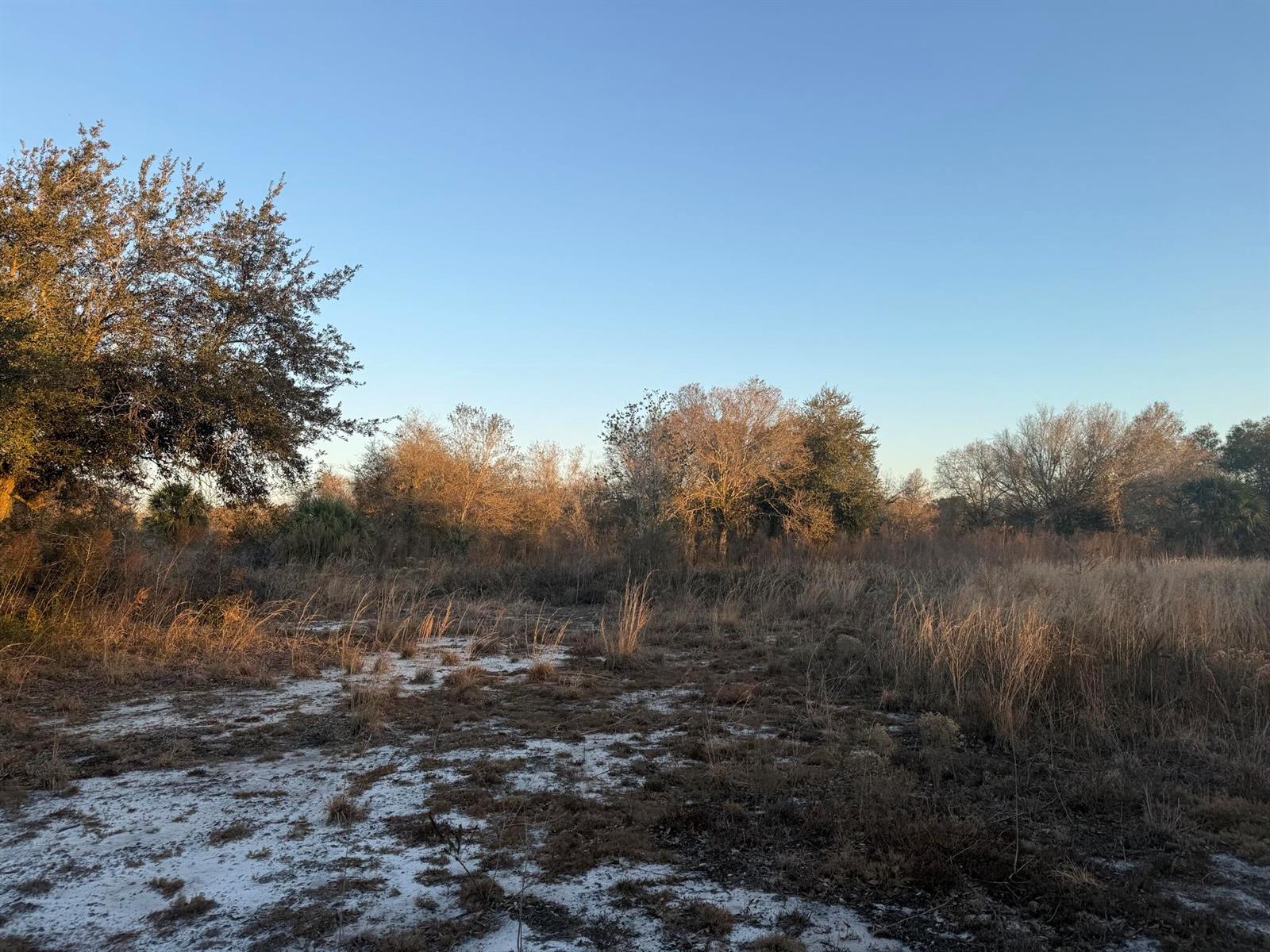 A grassy field with patches of white sand leads to a line of trees — 18344 NW 284th Street, Okeechobee FL 34972, OKEECHOBEE, FL