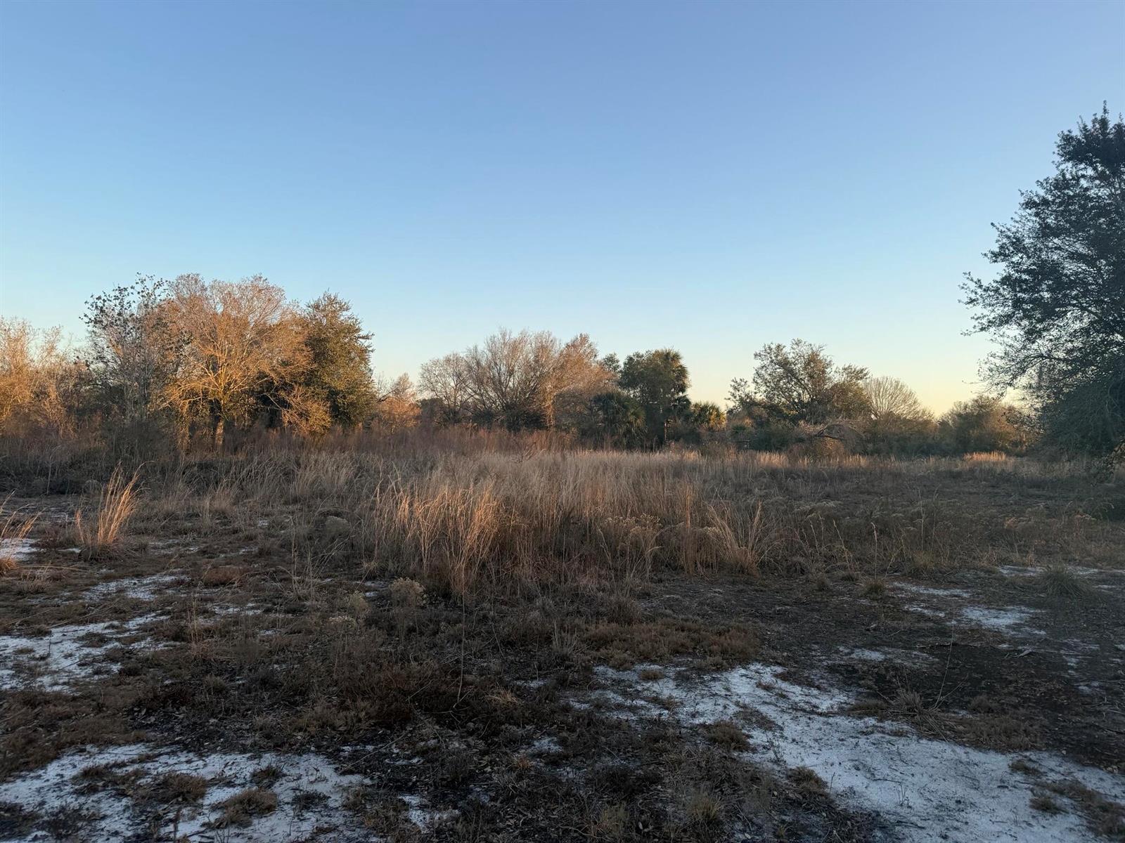 A grassy, open field with scattered trees under a clear blue sky — 18344 NW 284th Street, Okeechobee FL 34972, OKEECHOBEE, FL