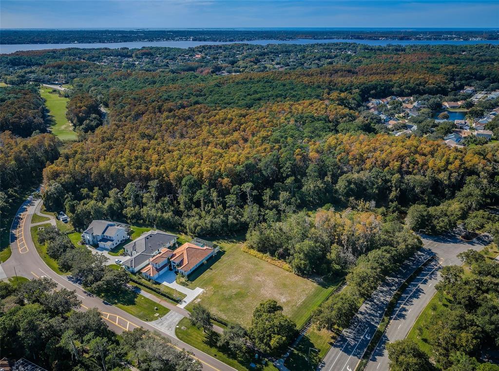 An aerial view shows a vacant residential lot situated between existing houses and a road — 4390 TARPON LAKE BOULEVARD, PALM HARBOR, FL