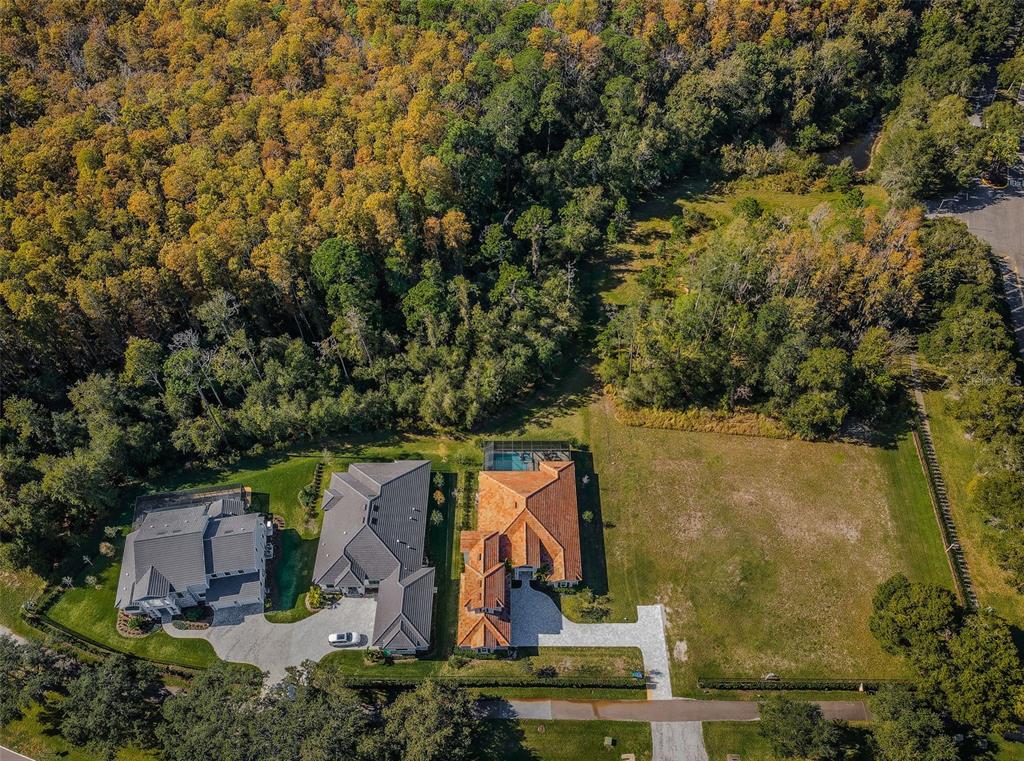 An aerial view shows three houses with pools and driveways bordering a large wooded area — 4390 TARPON LAKE BOULEVARD, PALM HARBOR, FL