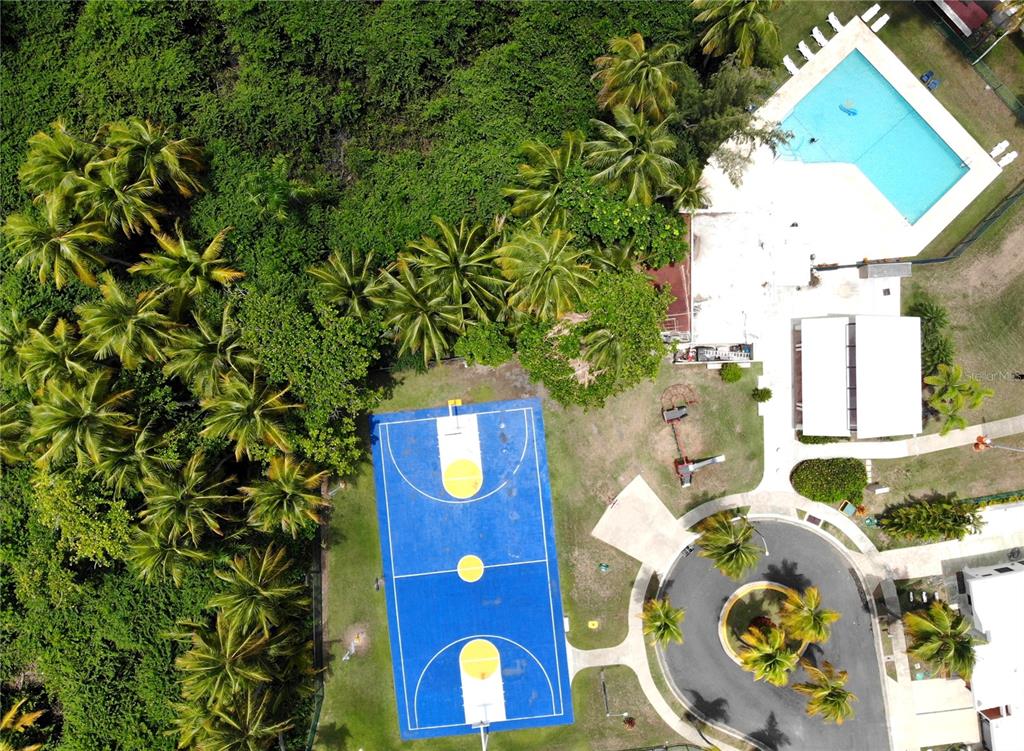 An aerial view shows a blue basketball court, a swimming pool, and surrounding palm trees — 144 PLAZA VIRGEN GORDA, LUQUILLO, PR