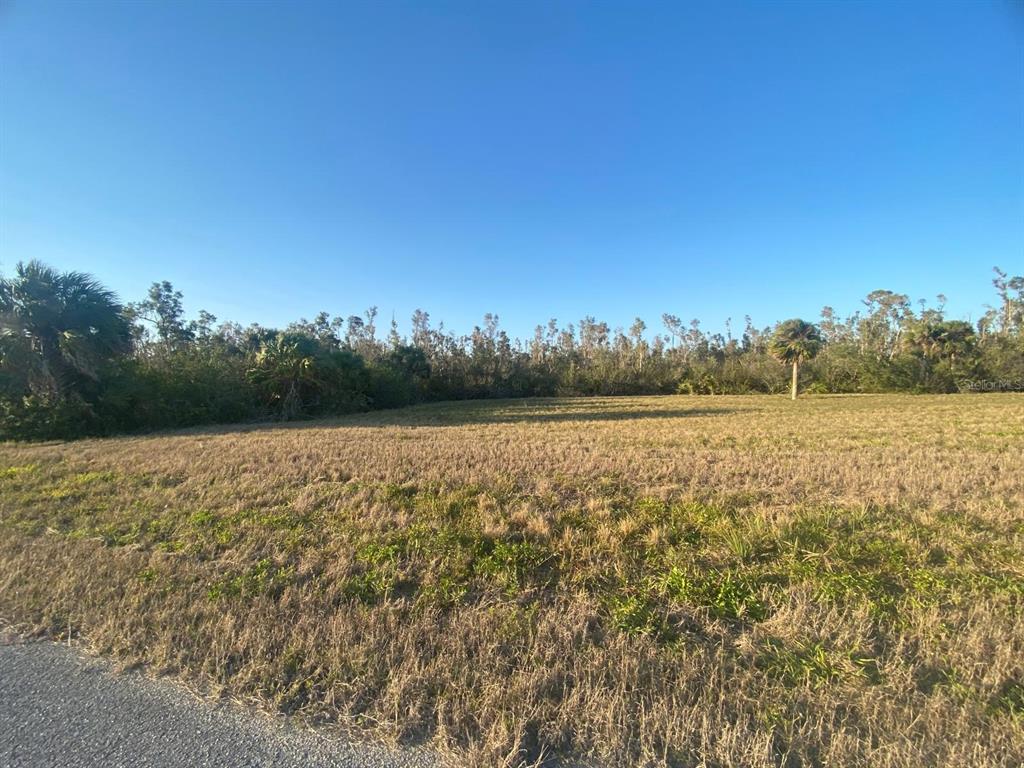 A vacant, grassy lot is bordered by trees and shrubs under a clear blue sky — 14420 BURBANK PLACE, PLACIDA, FL