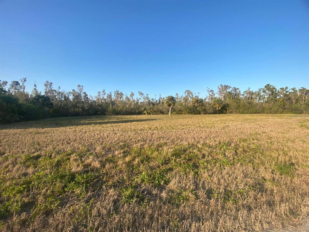 A wide, flat, grassy vacant lot is bordered by a line of trees and shrubs — 14420 BURBANK PLACE, PLACIDA, FL