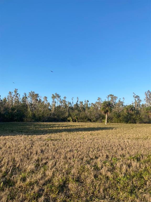 A large, flat, grassy field is bordered by a dense line of trees and shrubs — 14420 BURBANK PLACE, PLACIDA, FL