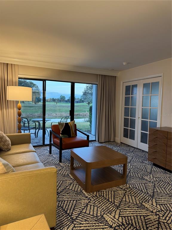 A living room features a patterned rug, a leather armchair, and sliding doors overlooking a pond — 4786 FOX HUNT DRIVE UNIT D743, WESLEY CHAPEL, FL