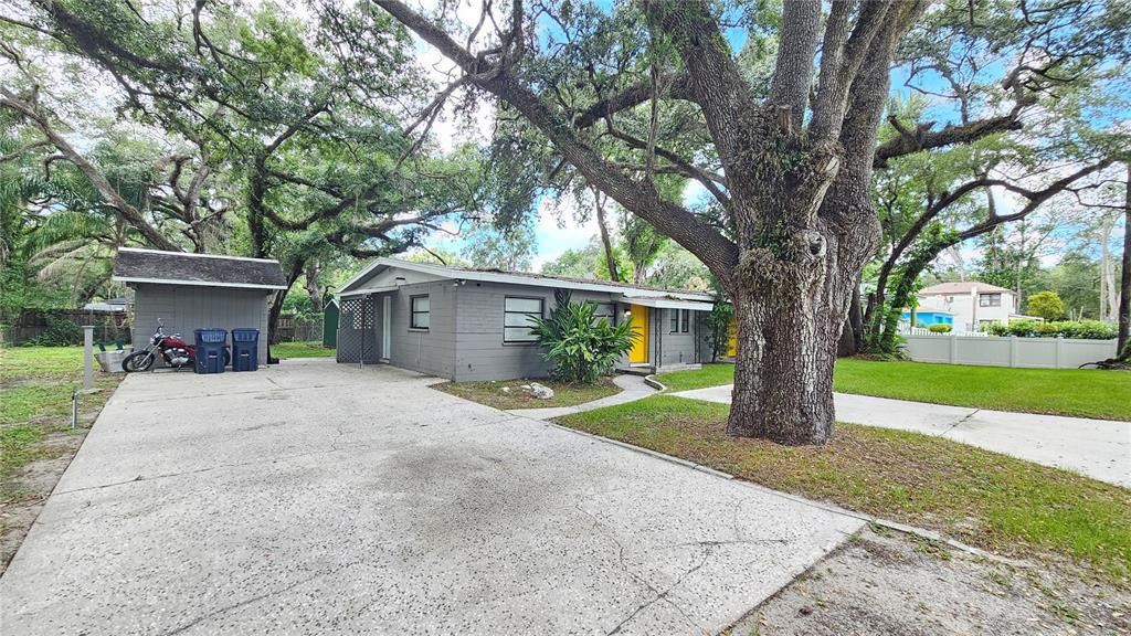 A gray single-story house with a yellow door sits behind a large oak tree — 5810 N 19TH STREET, TAMPA, FL