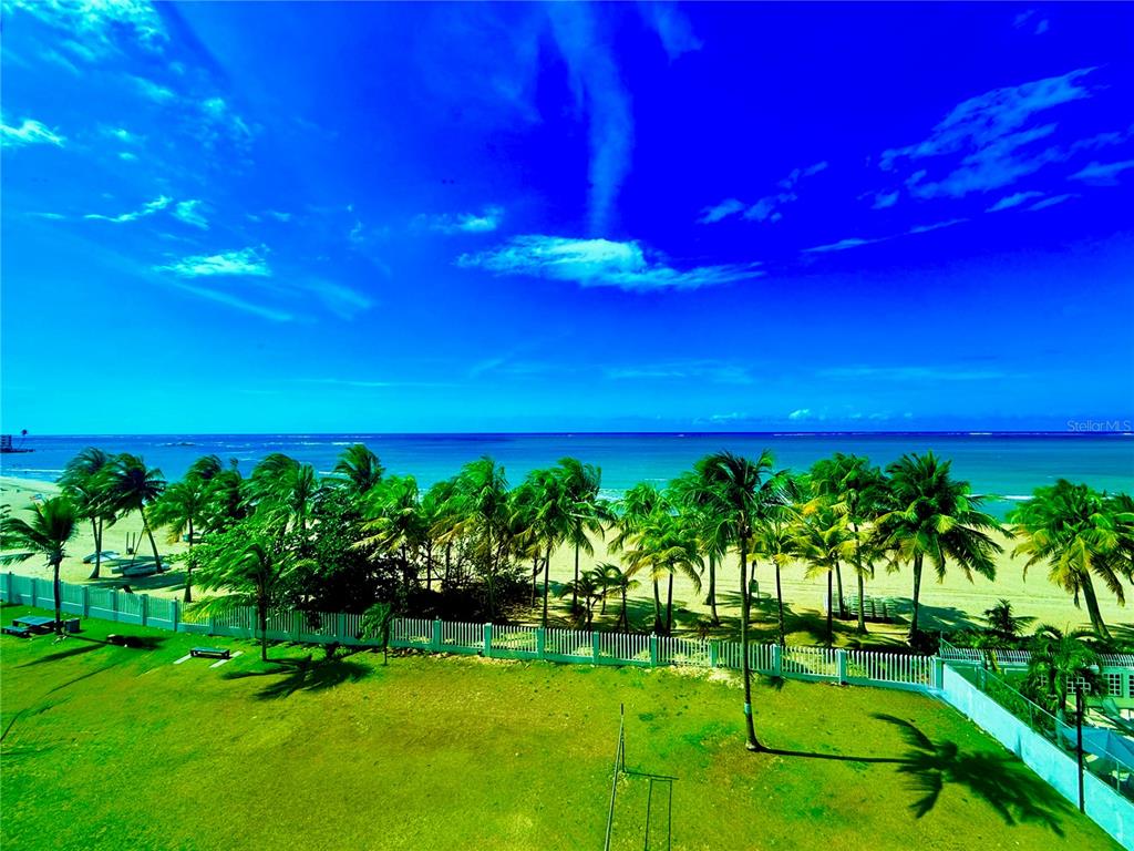 An elevated view of a grassy lawn, a white fence, palm trees, and a sandy beach — 1 HORIZONTE UNIT 514, CAROLINA, PR