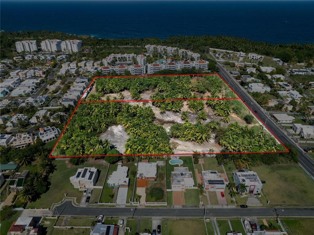 An aerial view shows a large, rectangular, palm-covered vacant lot bordered by residential streets — Kilometer 1.4 State Road SABANA WARD, VEGA ALTA, PR