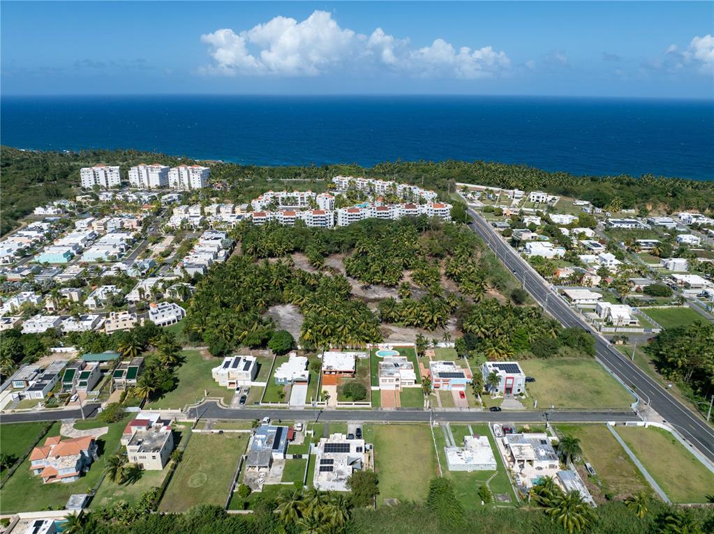 Aerial view of a coastal residential neighborhood with a large central wooded lot — Kilometer 1.4 State Road SABANA WARD, VEGA ALTA, PR