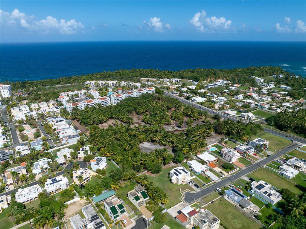 An aerial view shows a large, undeveloped wooded lot surrounded by residential neighborhoods and ocean — Kilometer 1.4 State Road SABANA WARD, VEGA ALTA, PR