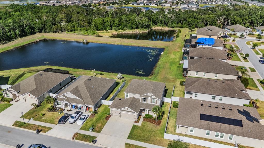 An aerial view shows several suburban houses with dark roofs situated next to a large pond — 13418 LAKEVIEW OAKS LANE, RIVERVIEW, FL