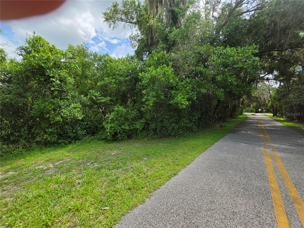 A paved road runs alongside a grassy area bordered by dense trees and vegetation — 180 OAK DRIVE, OSTEEN, FL