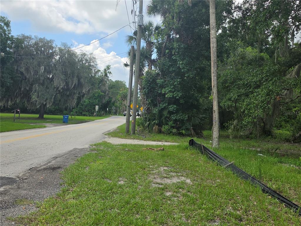 A paved road runs alongside a grassy lot with trees and a utility pole — 180 OAK DRIVE, OSTEEN, FL