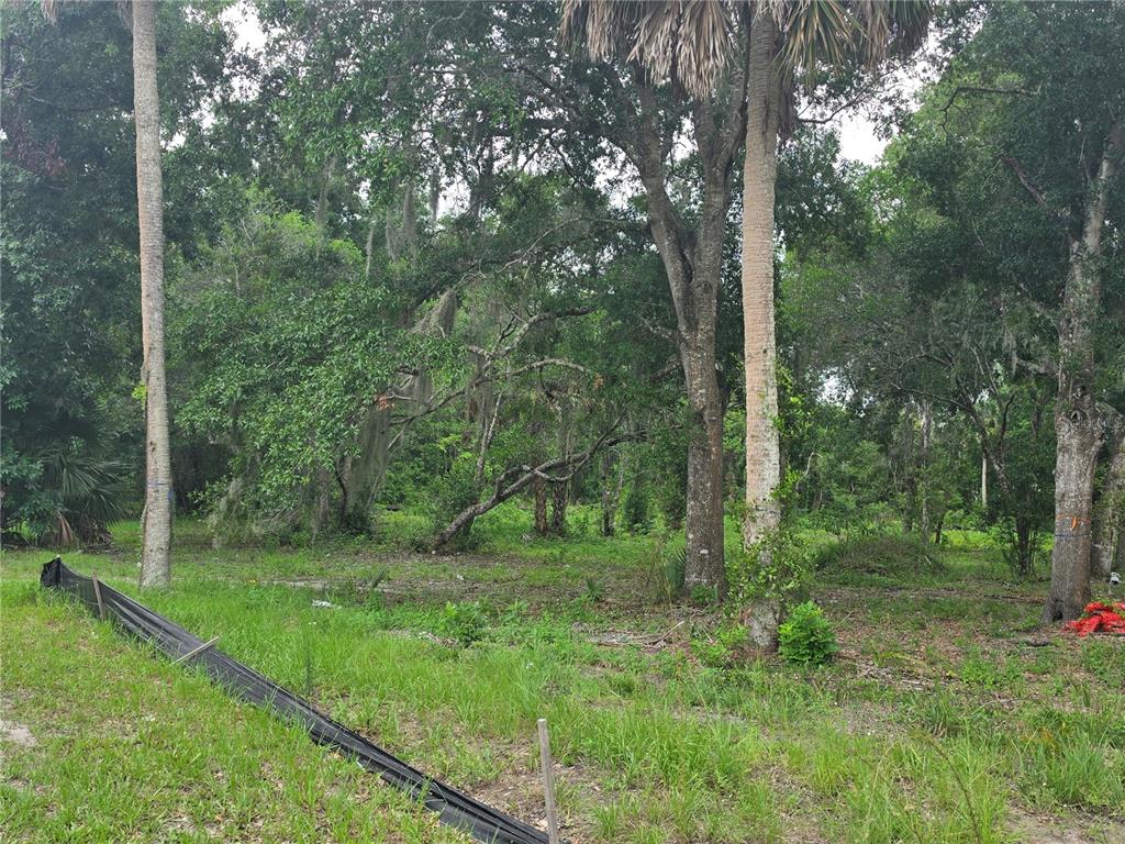 A wooded, undeveloped lot features several tall trees and a black silt fence in front — 180 OAK DRIVE, OSTEEN, FL