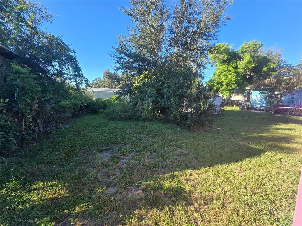 A grassy backyard features a large tree, dense perimeter vegetation, and a small storage shed — 503 25TH STREET E, PALMETTO, FL