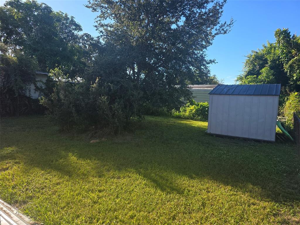 A grassy backyard features a large tree, a metal storage shed, and surrounding foliage — 503 25TH STREET E, PALMETTO, FL