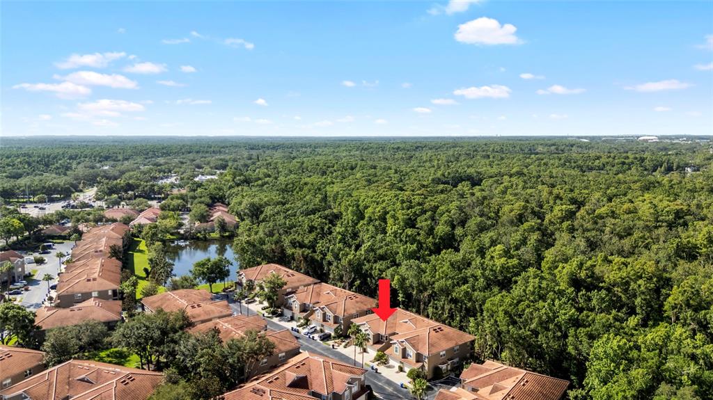 An aerial view shows a residential townhouse complex surrounded by a dense forest — 4920 ANNISTON CIRCLE, TAMPA, FL