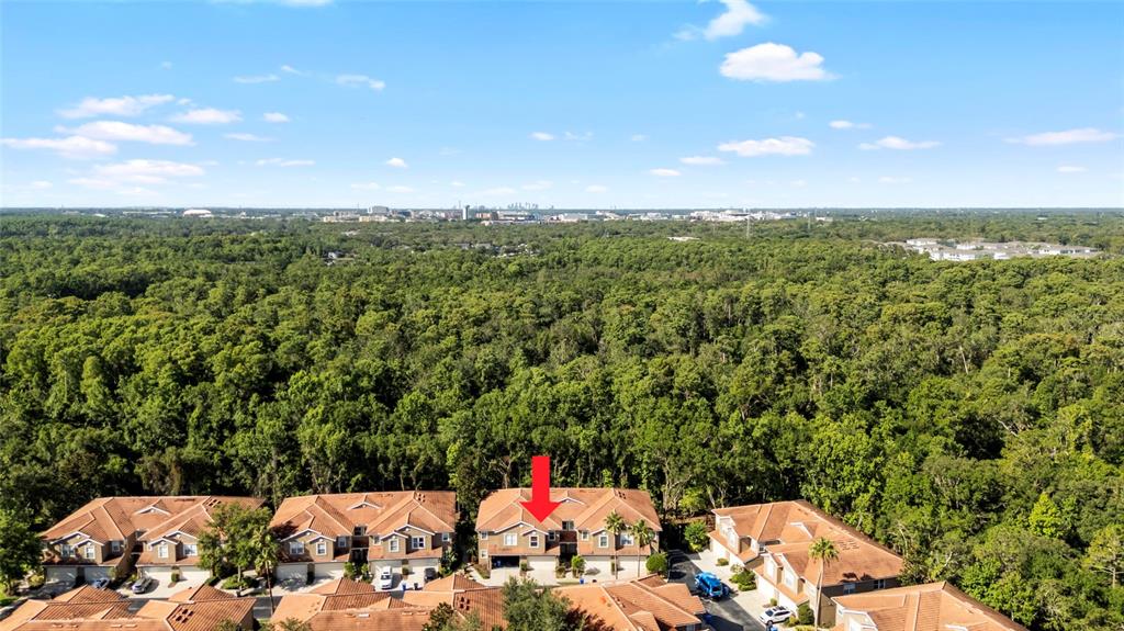 An aerial view shows a multi-unit residential building complex surrounded by a dense forest — 4920 ANNISTON CIRCLE, TAMPA, FL