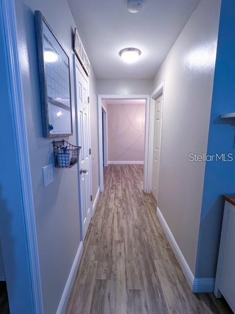 A hallway features light-colored wood-look flooring, white doors, and a framed wall calendar — 1928 LAWSON ROAD, TALLAHASSEE, FL