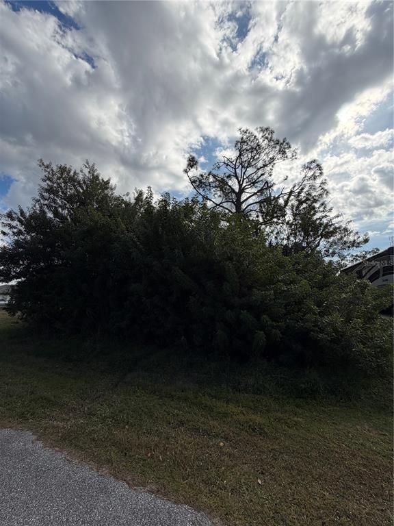 A dense cluster of trees and shrubs stands next to a paved road — 5258 JOHNSON TERRACE, PORT CHARLOTTE, FL