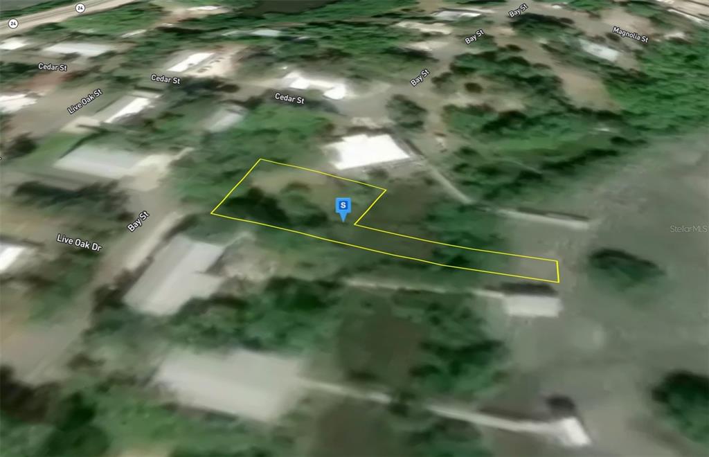 An aerial map view shows a vacant, irregularly shaped lot outlined in yellow — 12425 CEDAR ST, CEDAR KEY, FL