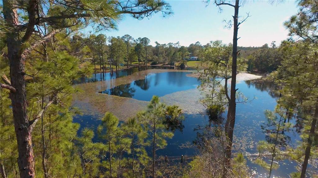 32325 STATE ROAD 44, EUSTIS, FL — photo 5 of 30