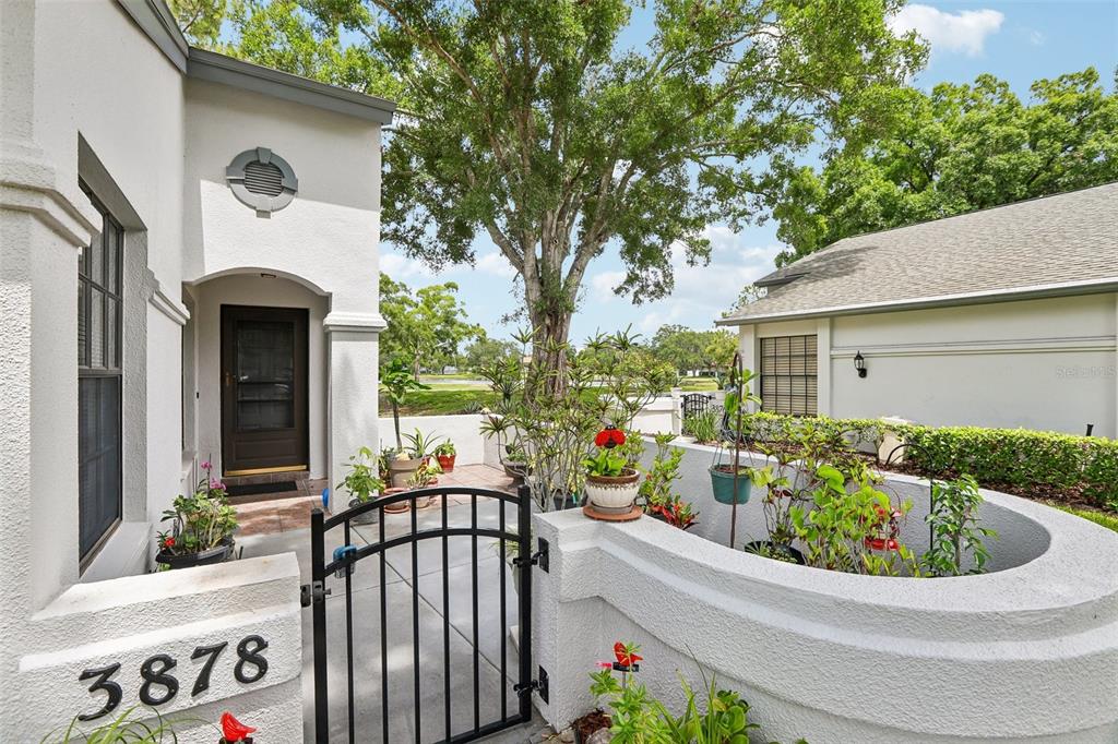 A gated courtyard entrance features a white stucco wall, potted plants, and a front door — 3878 TANAGER PLACE, PALM HARBOR, FL
