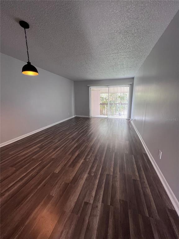 An empty room features wood-look flooring, light gray walls, a single pendant light, and sliding doors — 6338 NEWTOWN CIRCLE UNIT 38C5, TAMPA, FL