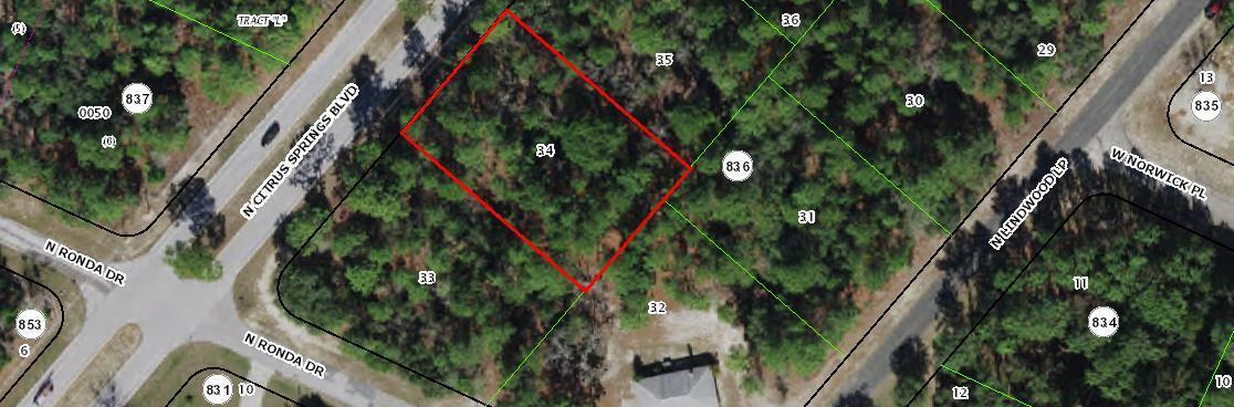 This is a satellite map view showing a highlighted vacant lot in a residential area — 8621 N Citrus Springs Boulevard, FL 34433, FL