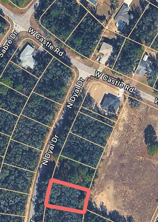 An aerial map view shows a rectangular, wooded lot highlighted in red along a road — 10161 N DYAL DRIVE, CITRUS SPRINGS, FL