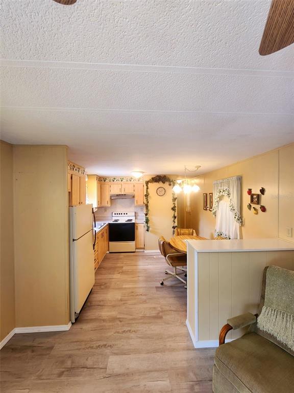 35015 MAJOR DADE, DADE CITY, FL — photo 3 of 10