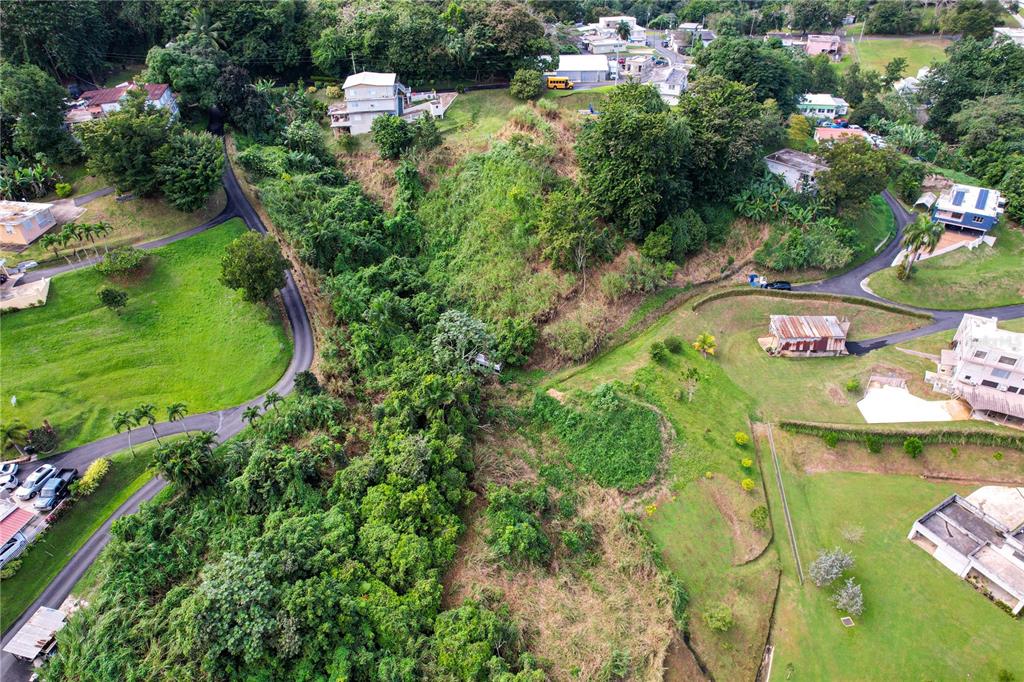 An aerial view shows a lush, wooded ravine separating grassy residential lots with paved roads — PR 568 KM 28.5 SECTOR EL LIMON PADILLA, COROZAL, PR